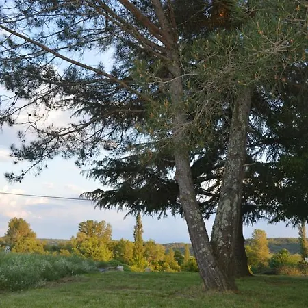Les Loups Dans La Bergerie 3*